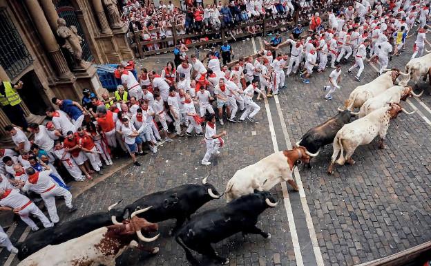Toros de los encierros de San Fermín 2019 en Pamplona: programa por días